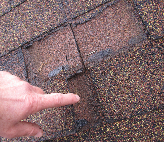 Roof repair shingle